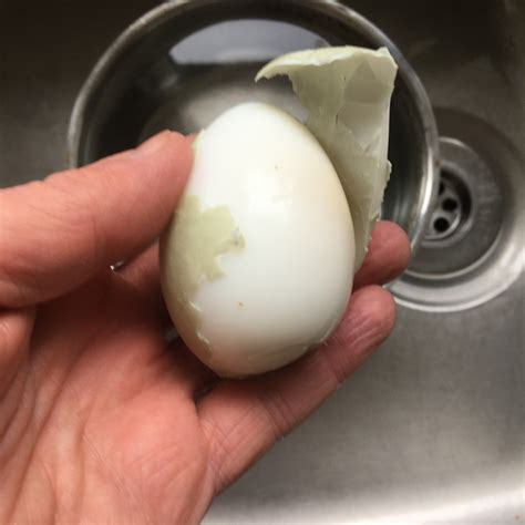 How to Hard Boil a Duck Egg (With Four Serving Suggestions).